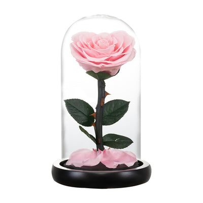 Valentine's Day Preserved Flower Heart-shaped Birthday Gift